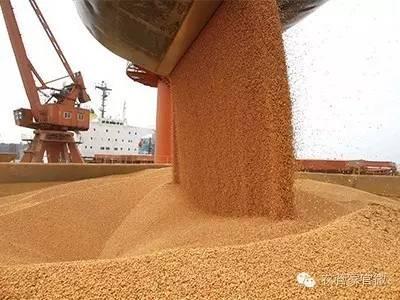 人民网:大豆进口对国内产业损害加深必须有效应对-搜狐