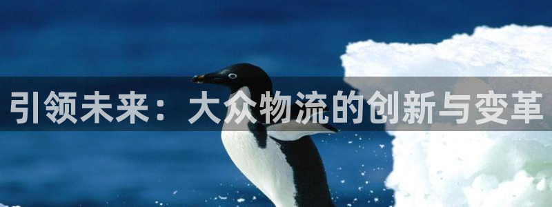 豪门国际官网下载多少钱
