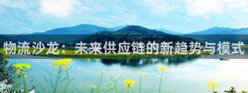 豪门国际技巧：物流沙龙：未来供应链的
