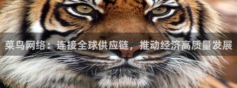 豪门国际如何注销账号：菜鸟网络：连接