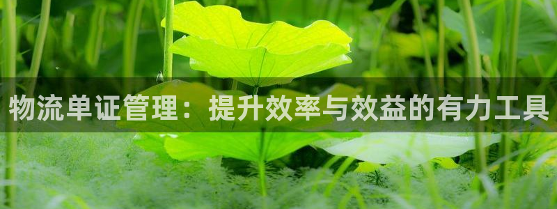 豪门国际怎么申请代理：物流单证管理：