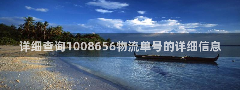 加拿大豪门国际数字规则：详细查询10