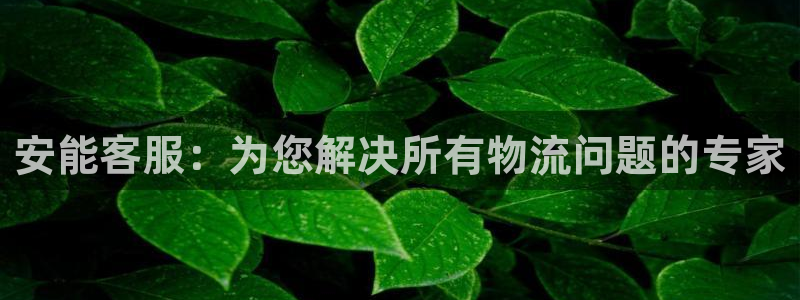豪门国际加拿大最新版：安能客服：为您