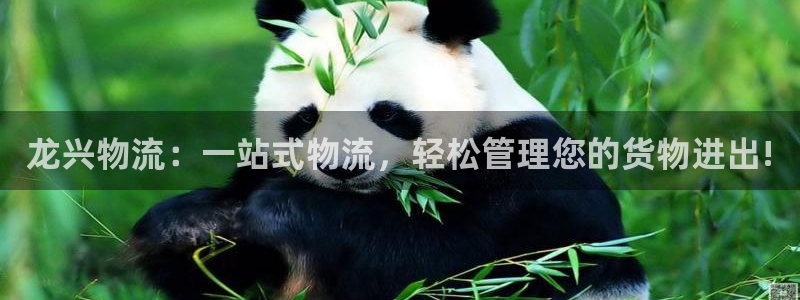 豪门国际官网下载链接是什么：龙兴物流