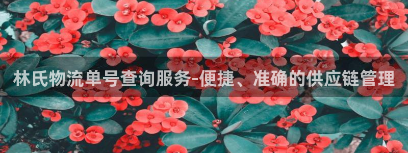 豪门国际ip被限制怎么解决：林氏物流