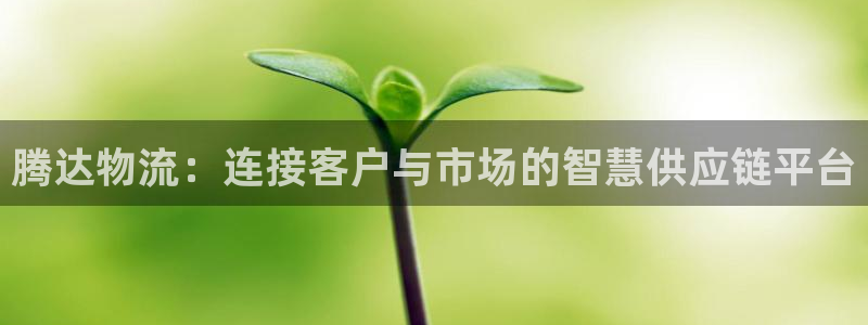 豪门国际app赢了500万：腾达物流