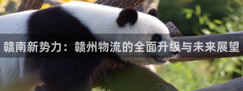 豪门国际登录流程：赣南新势力：赣州物
