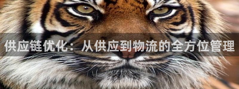 豪门国际下载二维码怎么弄：供应链优化