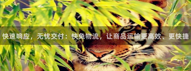 豪门国际昵称