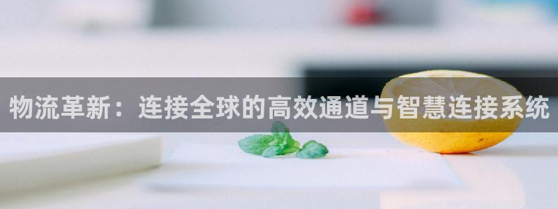 豪门国际在线预测：物流革新：连接全球