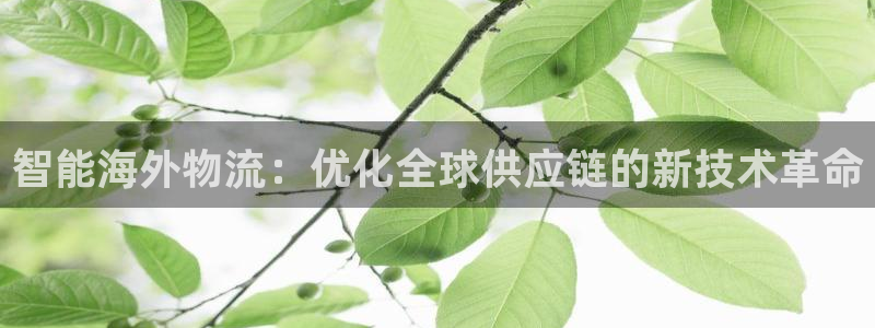 加拿大豪门国际是什么