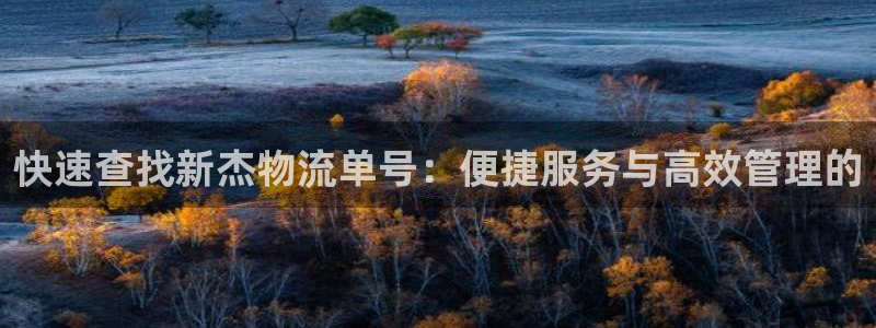 豪门国际黑款：快速查找新杰物流单号：
