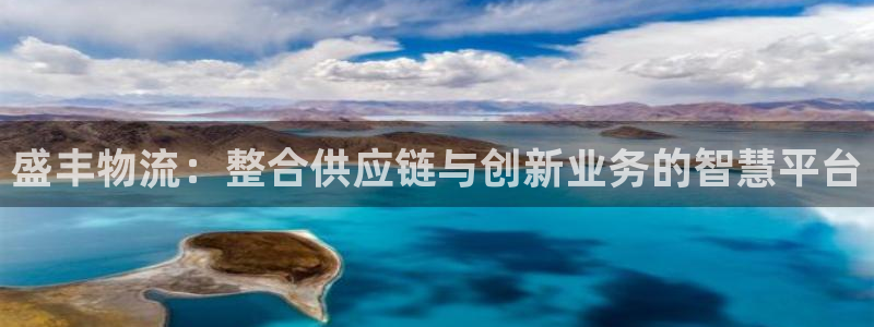 豪门国际旗下：盛丰物流：整合供应链与