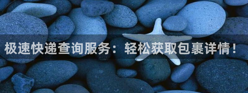自行车豪门国际是什么意思：极速快递查