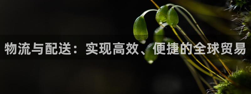豪门国际为什么没有赢过一次：物流与配
