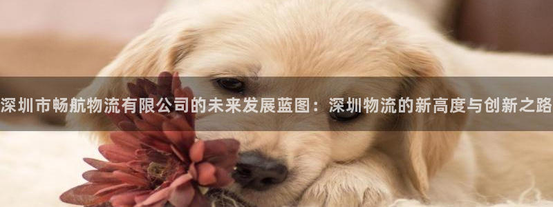 豪门国际充值：深圳市畅航物流有限公司的未来发展蓝图：深圳物流