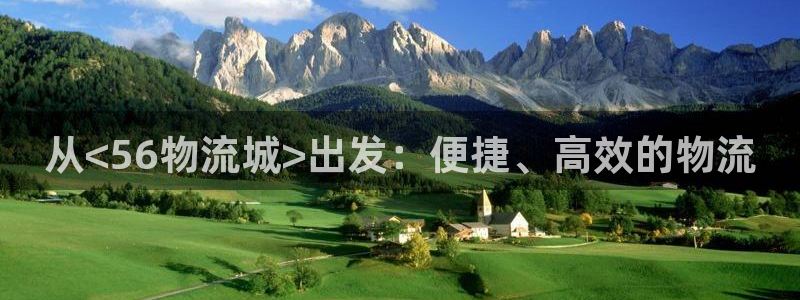 豪门国际平台注册:从<56物流城>出