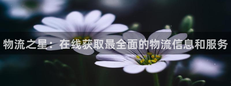 豪门国际注册登录链接：物流之星：在线