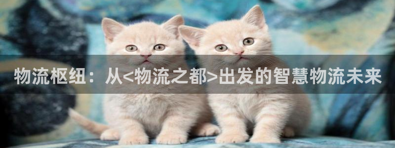 豪门国际软件：物流枢纽：从<物流之都>出发的智慧物流未来