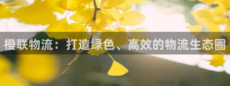 豪门国际官网下载链接是什么：橙联物流