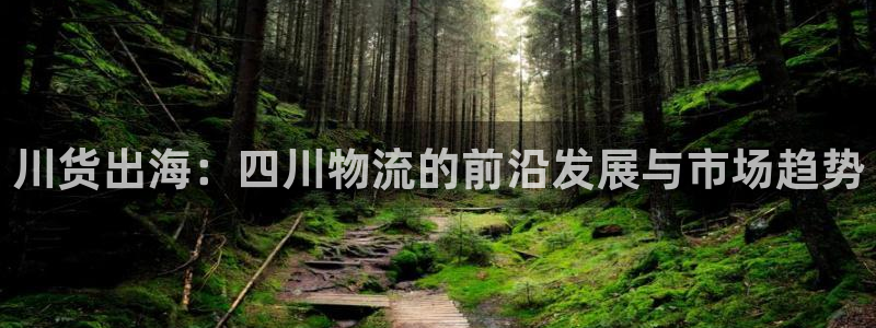 豪门国际官方版正版：川货出海：四川物