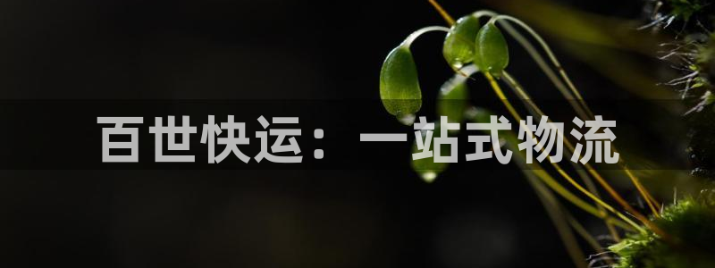 豪门国际充值为什么充不了：百世快运：一站式物流