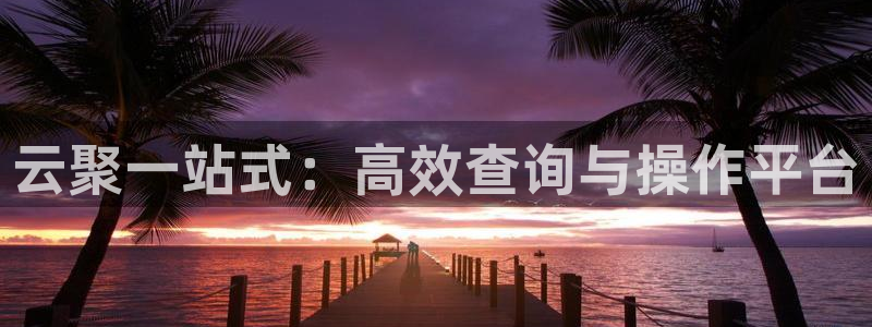 自行车豪门国际是什么意思:云聚一站式